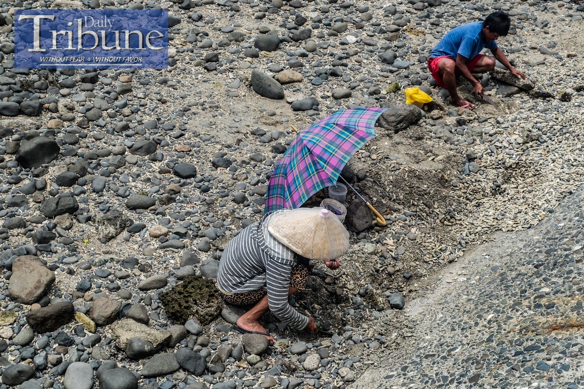 Mayeth and her neighbor, Lon, gather worms to use as bait for fishing at Mabua Beach in Tandag, Surigao del Sur, on 19 June 2024. According to Mayeth, using worms as bait is a more economical option compared to purchasing shrimp, making their fishing trips more affordable and sustainable. The pair spend their early mornings searching for worms along the beach, a practice that not only saves them money but also connects them more deeply with their local environment.